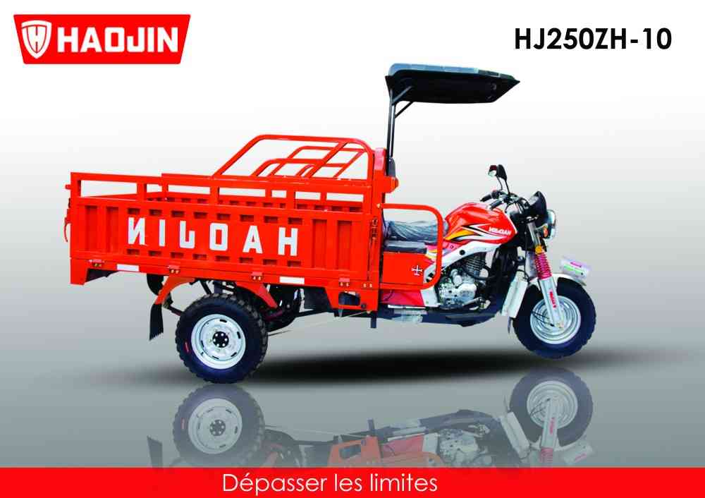 Image Miss Bonnie Stehr